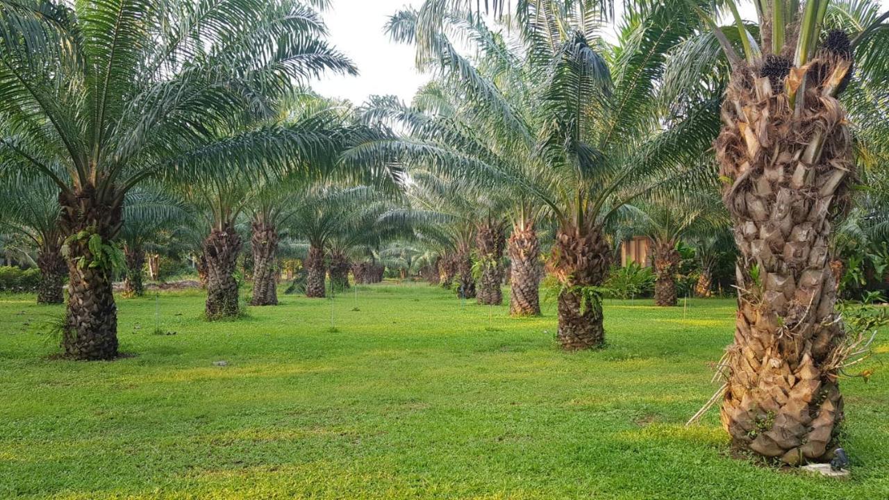 Palm Pran Resort Pran Buri Exterior foto